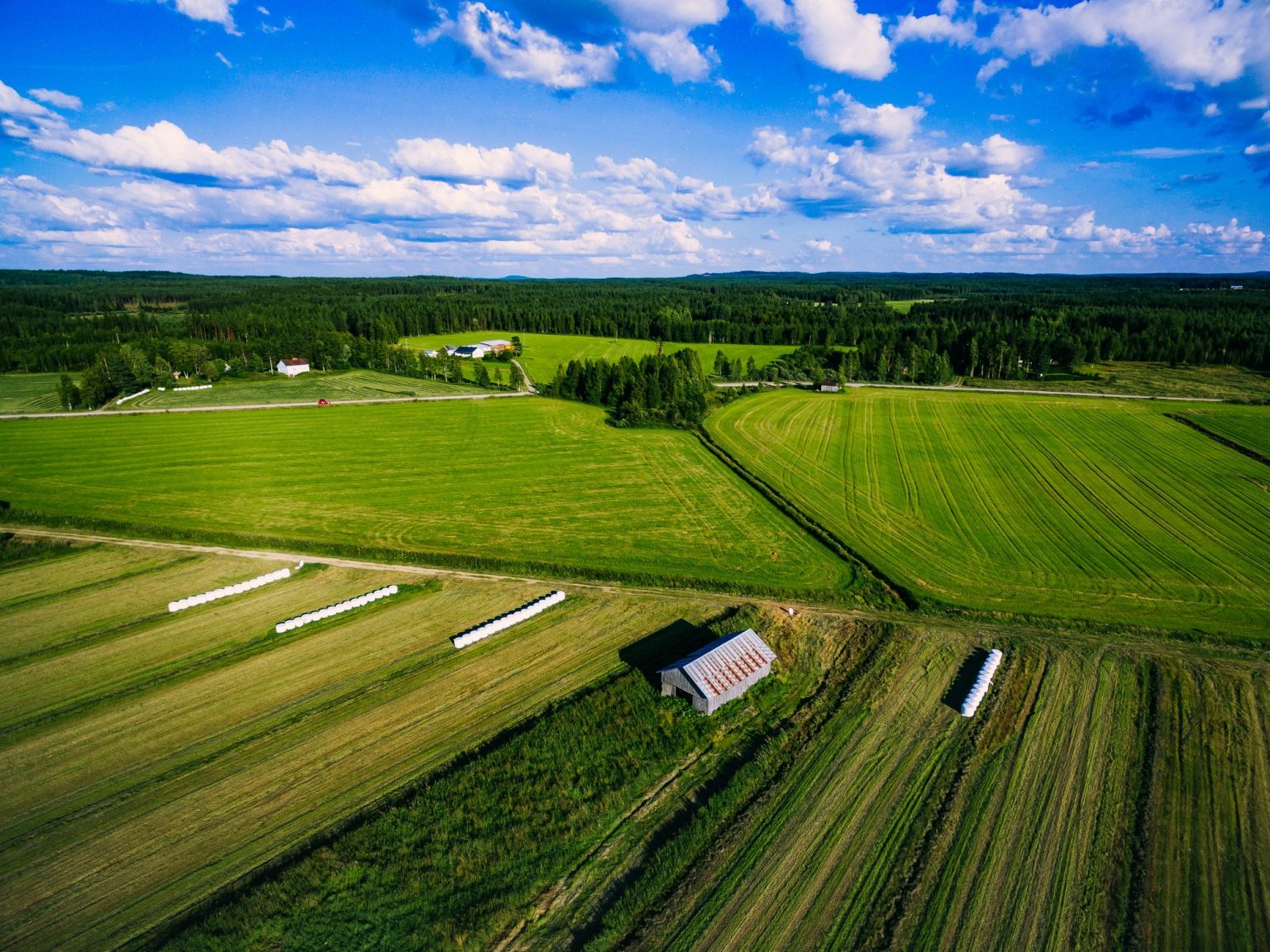 Aerial view of green field harvest with old wood barn and bales of hay
